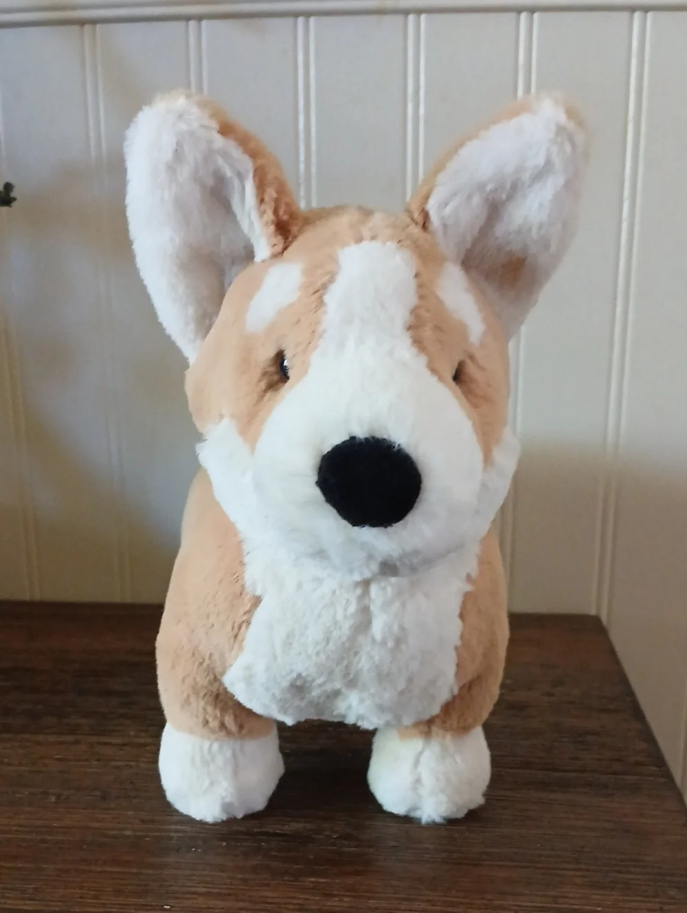 Jellycat Betty Corgi soft Tan/white Plush Dog Corgi Stuffie, Dog Plusie